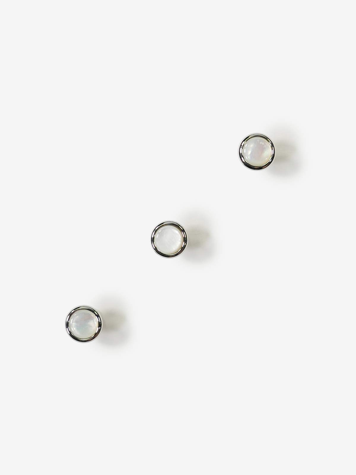 Shirt Studs|白蝶貝