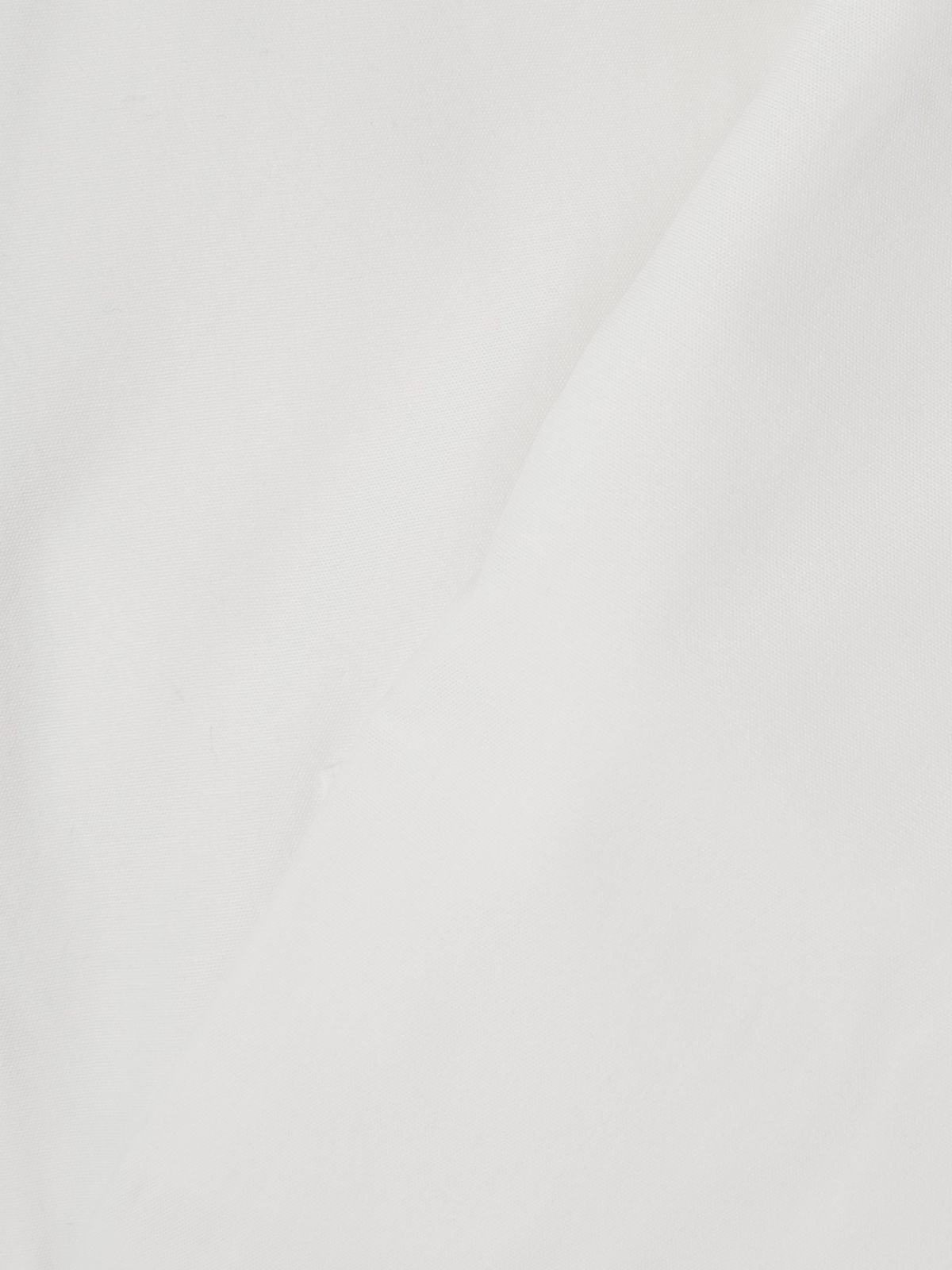 Wing Collar Slim Fit Shirt|ホワイト