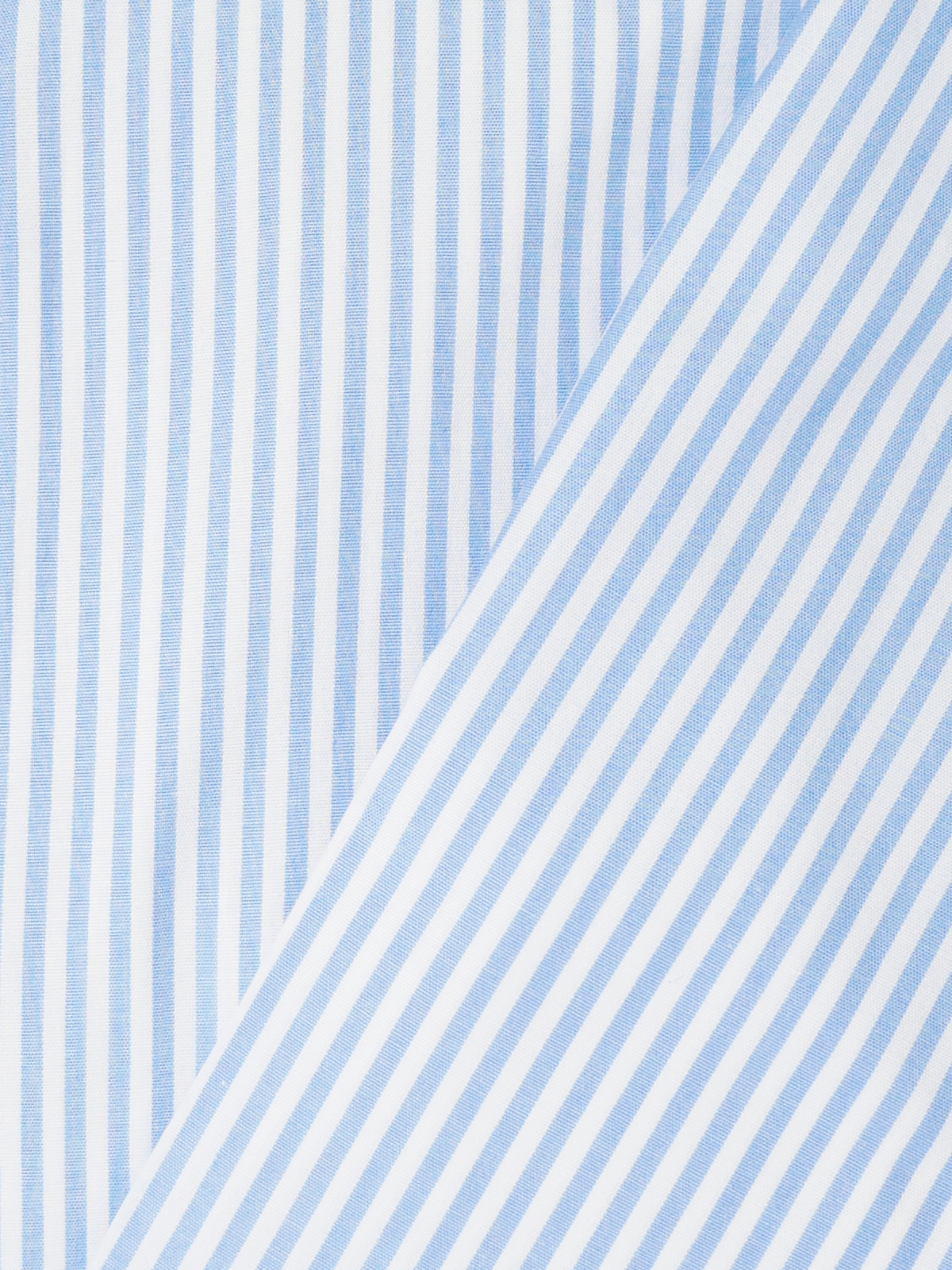Striped Slim Fit Shirt With White Collar ｜サックス